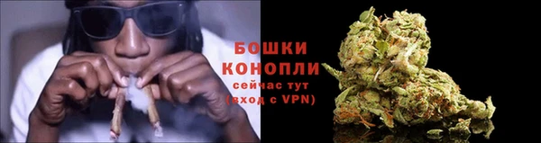 бошки Бородино