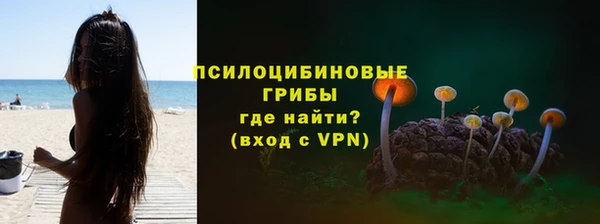 apvp Верхний Тагил