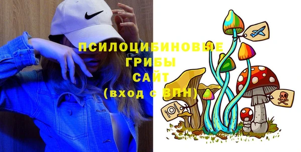 apvp Верхний Тагил